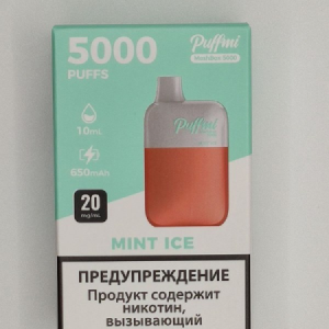 PUFFMI MeshBox 5000 Mint Ice Ледяная Мята